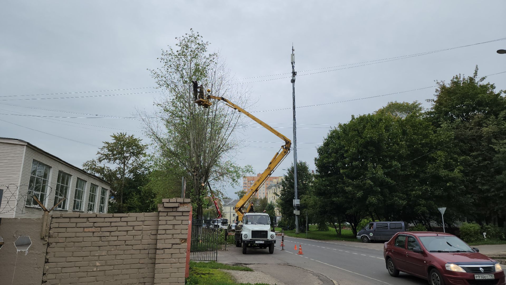Подольск, благоустройство, кронирование деревьев, отработка жалоб