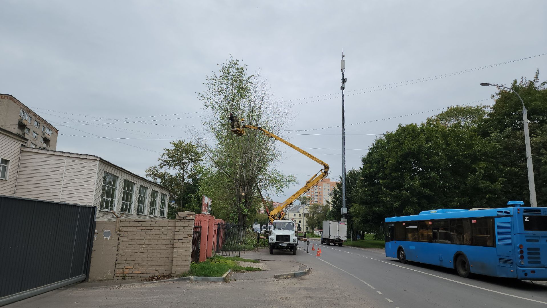 Подольск, благоустройство, кронирование деревьев, отработка жалоб