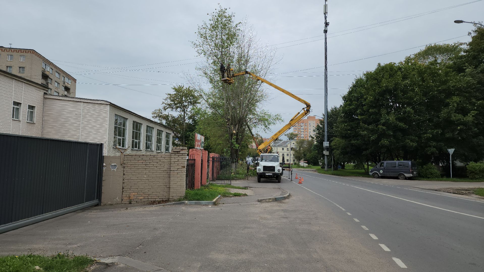 Подольск, благоустройство, кронирование деревьев, отработка жалоб