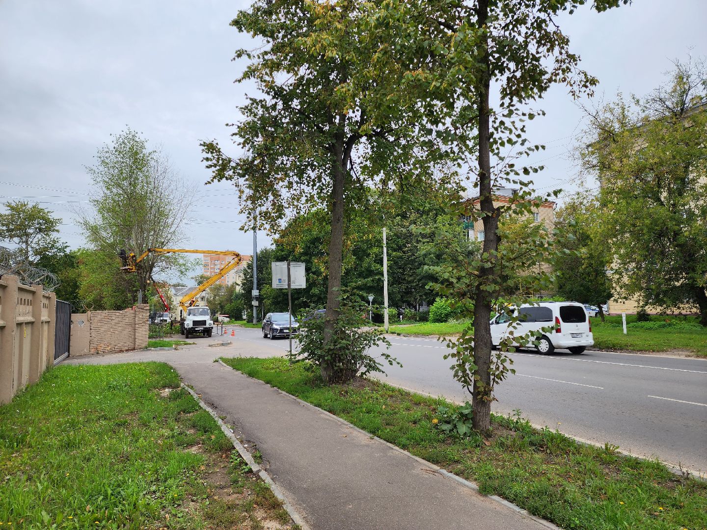 Подольск, благоустройство, кронирование деревьев, отработка жалоб