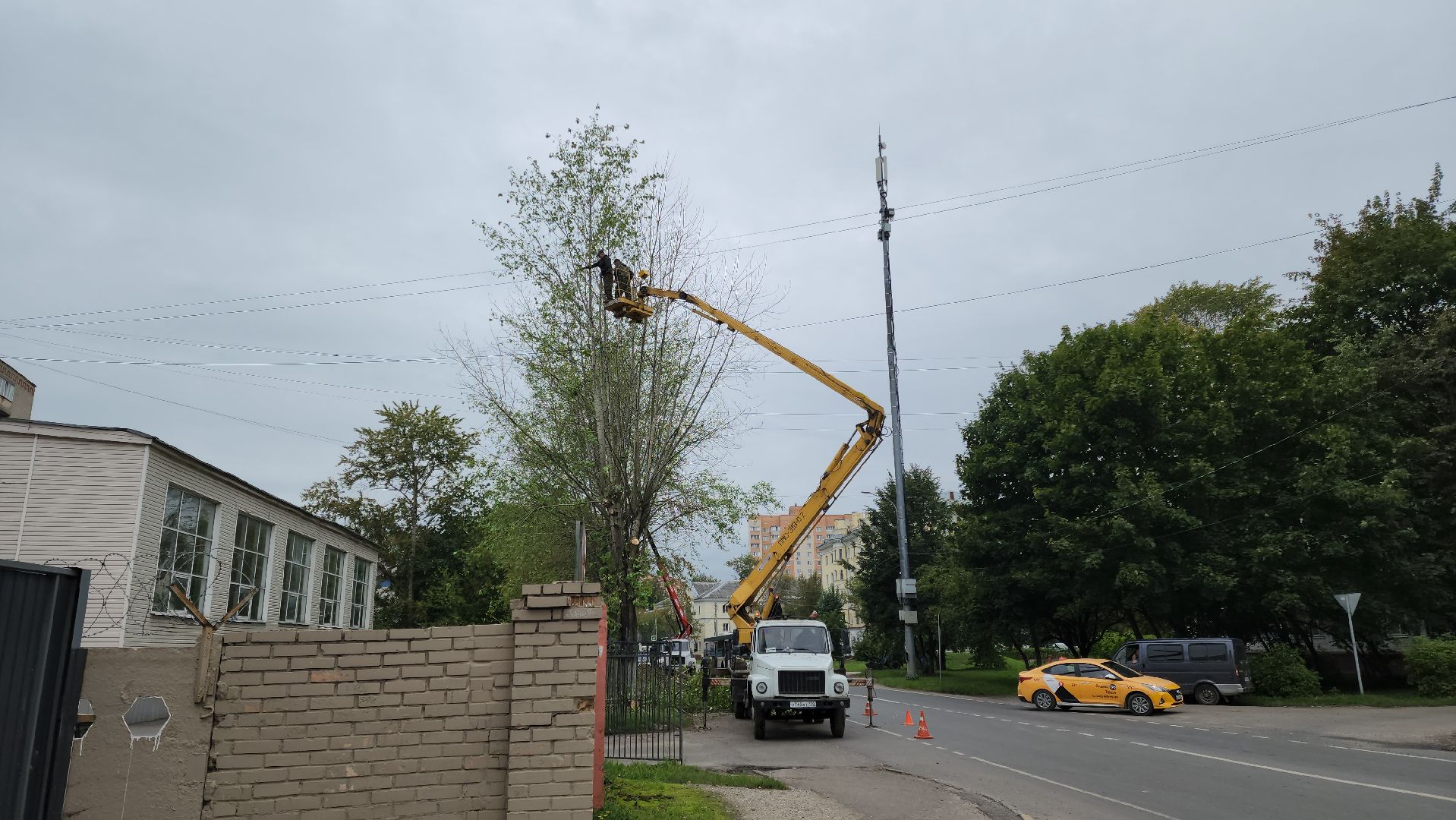 Подольск, благоустройство, кронирование деревьев, отработка жалоб