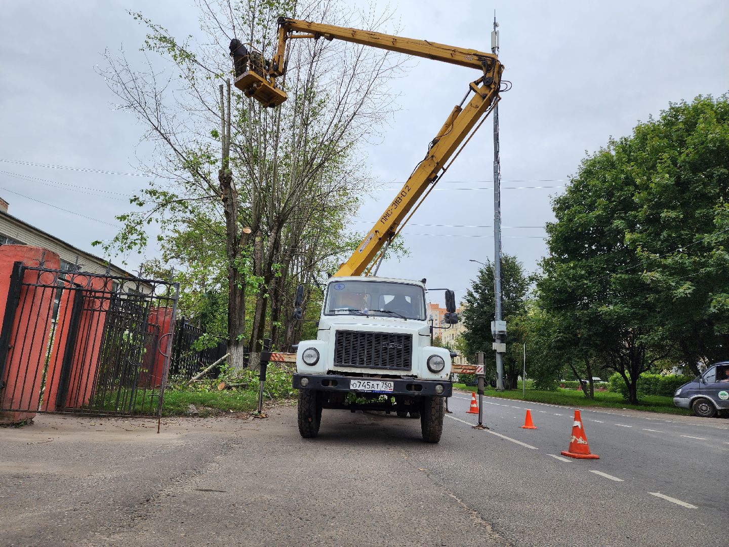 Подольск, благоустройство, кронирование деревьев, отработка жалоб