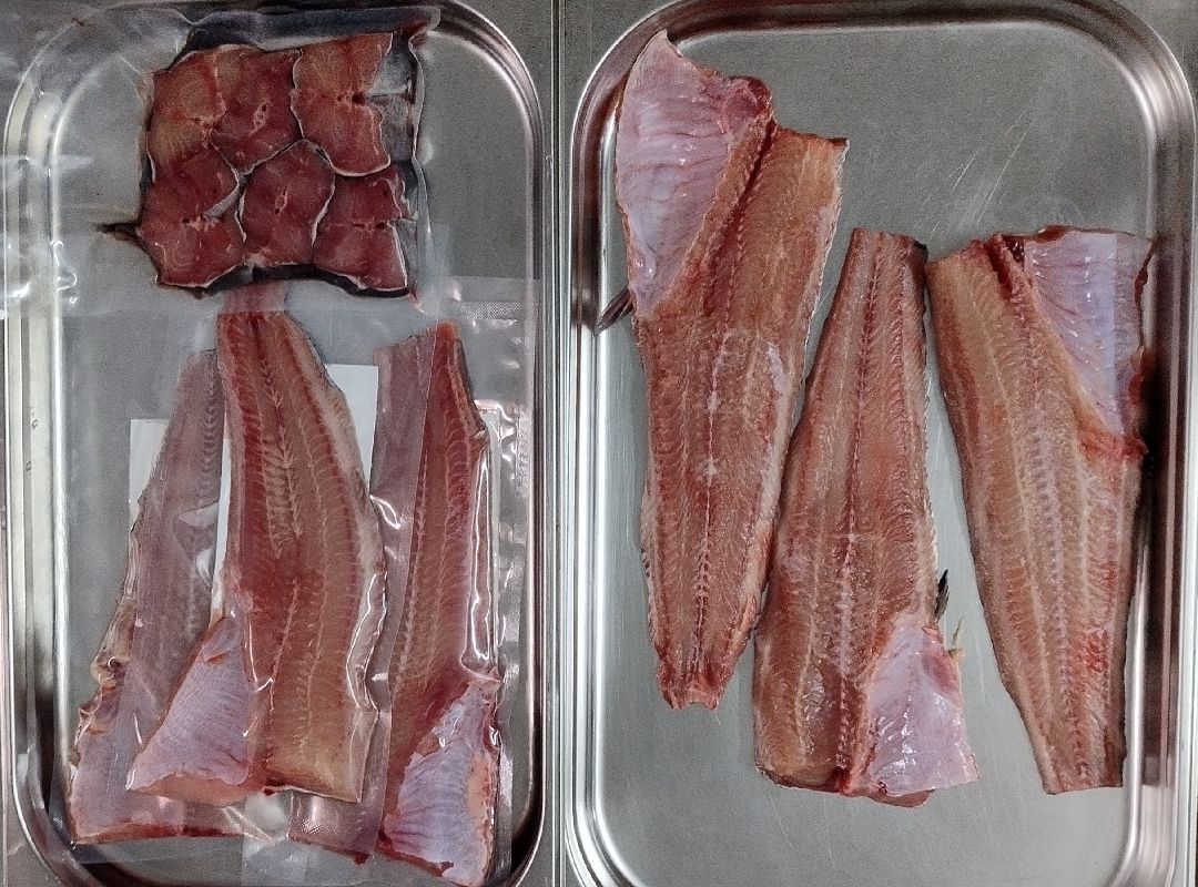 Субсидии, Луховицы, рыба