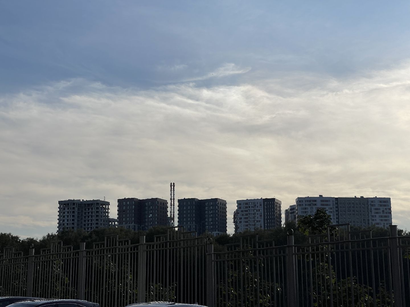 Одинцово, пожар, запах гари, промзона, МЦУР, Министерство экологии и природопользования Московской области