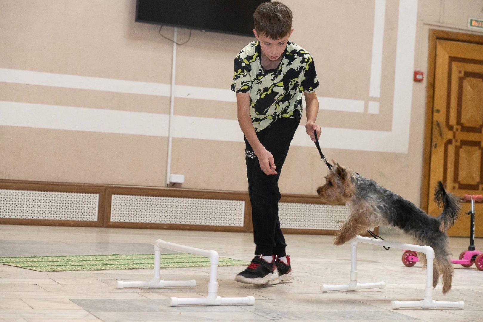 лыткарино, бесплатно, кружки, секции