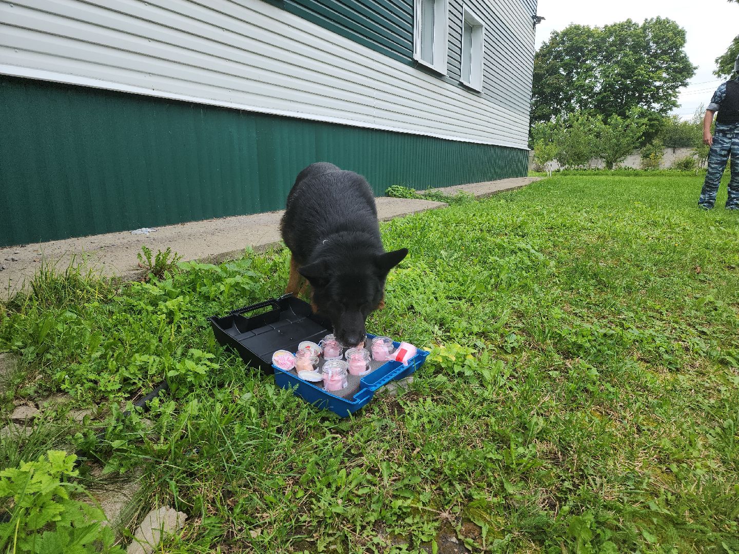 Кашира, спешкола, тренировка, учения, Росгвардия