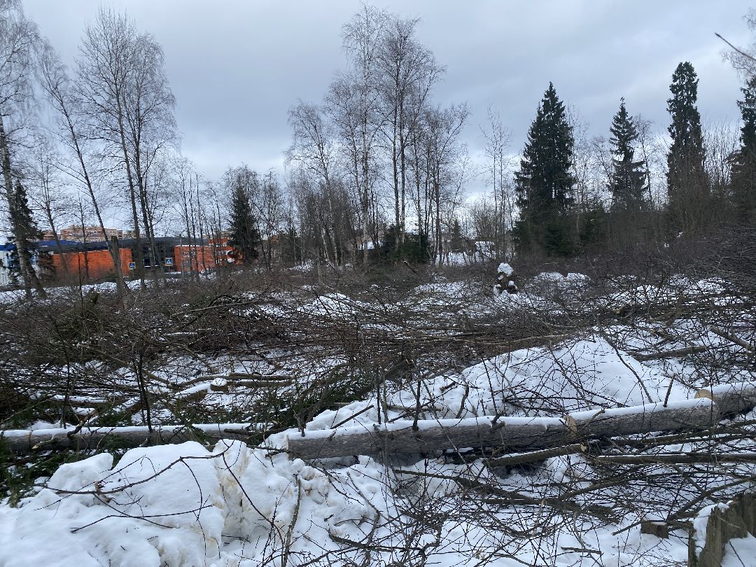 Краснознаменск, строительство школы, Стройкапиталинвест, Строительство объектов социальной инфраструктуры