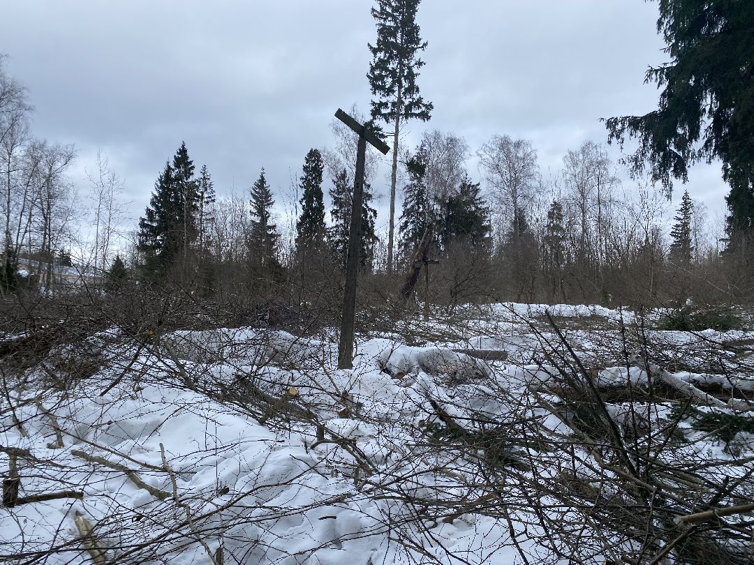 Краснознаменск, строительство школы, Стройкапиталинвест, Строительство объектов социальной инфраструктуры