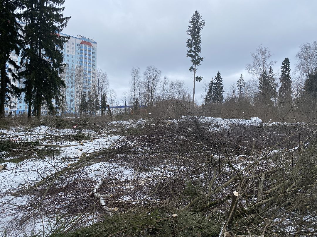 Краснознаменск, строительство школы, Стройкапиталинвест, Строительство объектов социальной инфраструктуры