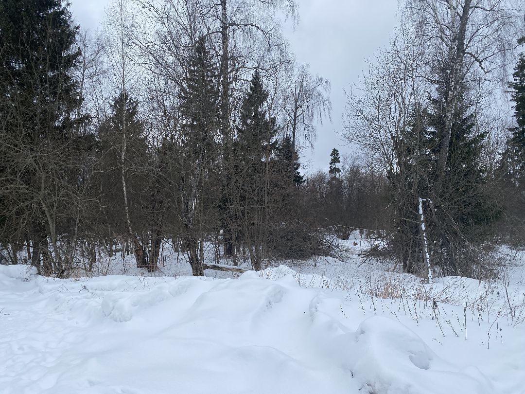 Краснознаменск, строительство школы, Стройкапиталинвест, Строительство объектов социальной инфраструктуры