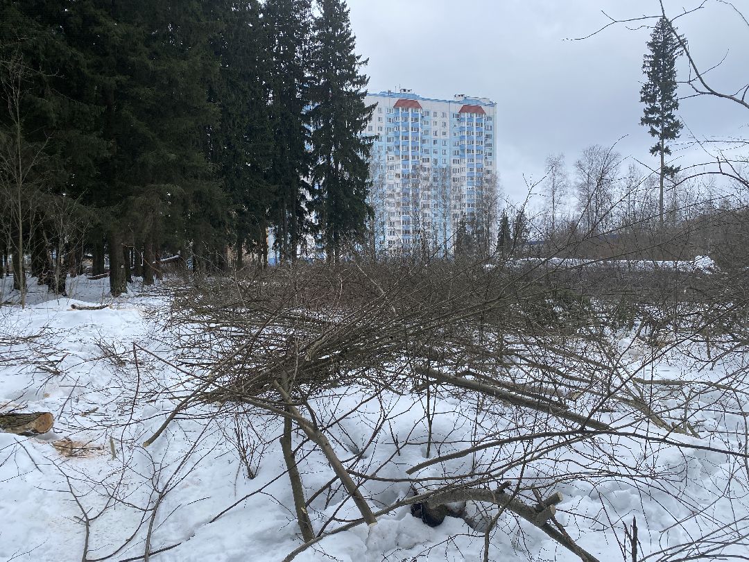 Краснознаменск, строительство школы, Стройкапиталинвест, Строительство объектов социальной инфраструктуры