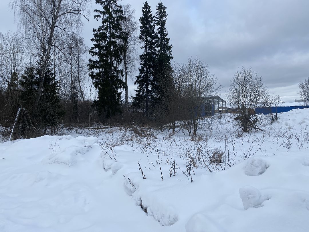 Краснознаменск, строительство школы, Стройкапиталинвест, Строительство объектов социальной инфраструктуры