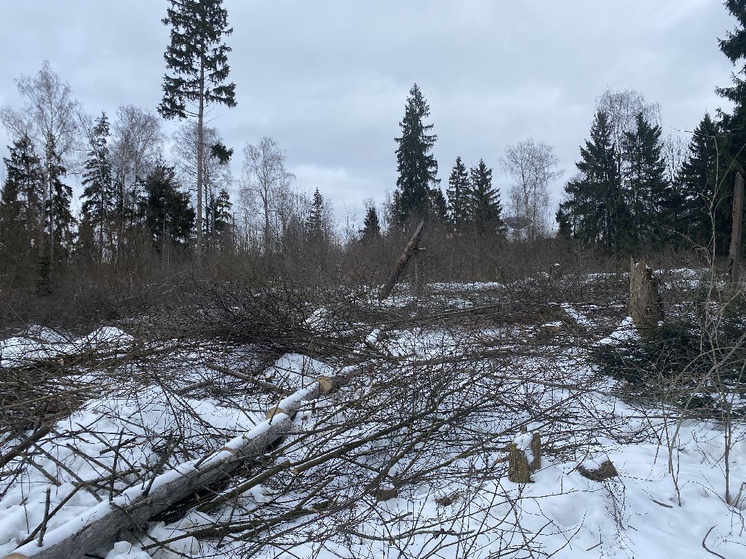 Краснознаменск, строительство школы, Стройкапиталинвест, Строительство объектов социальной инфраструктуры