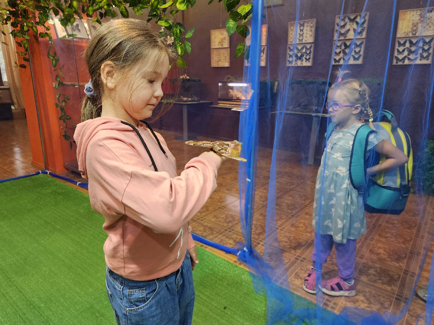 Раменское, культура, выставка экзотических бабочек