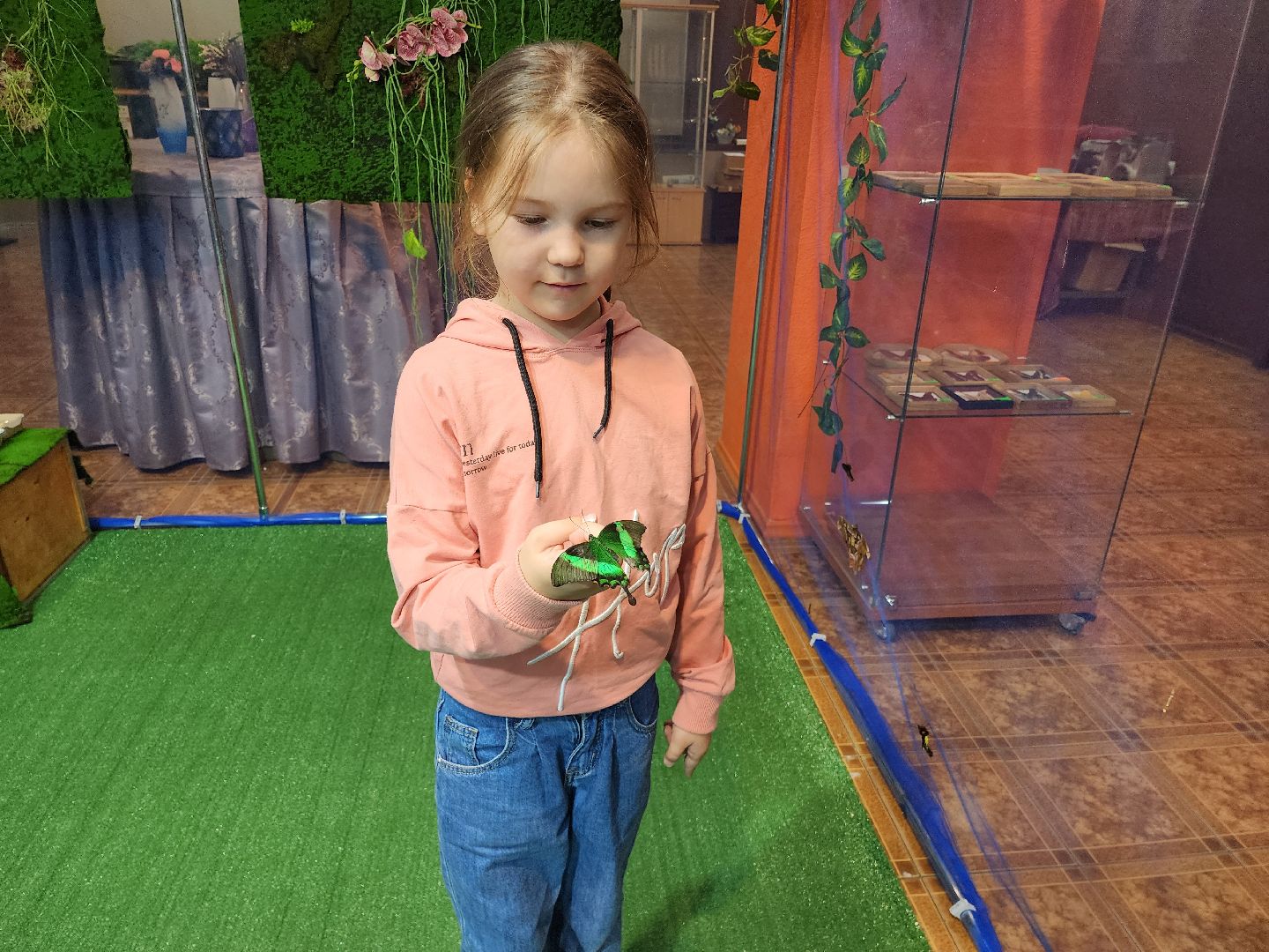 Раменское, культура, выставка экзотических бабочек