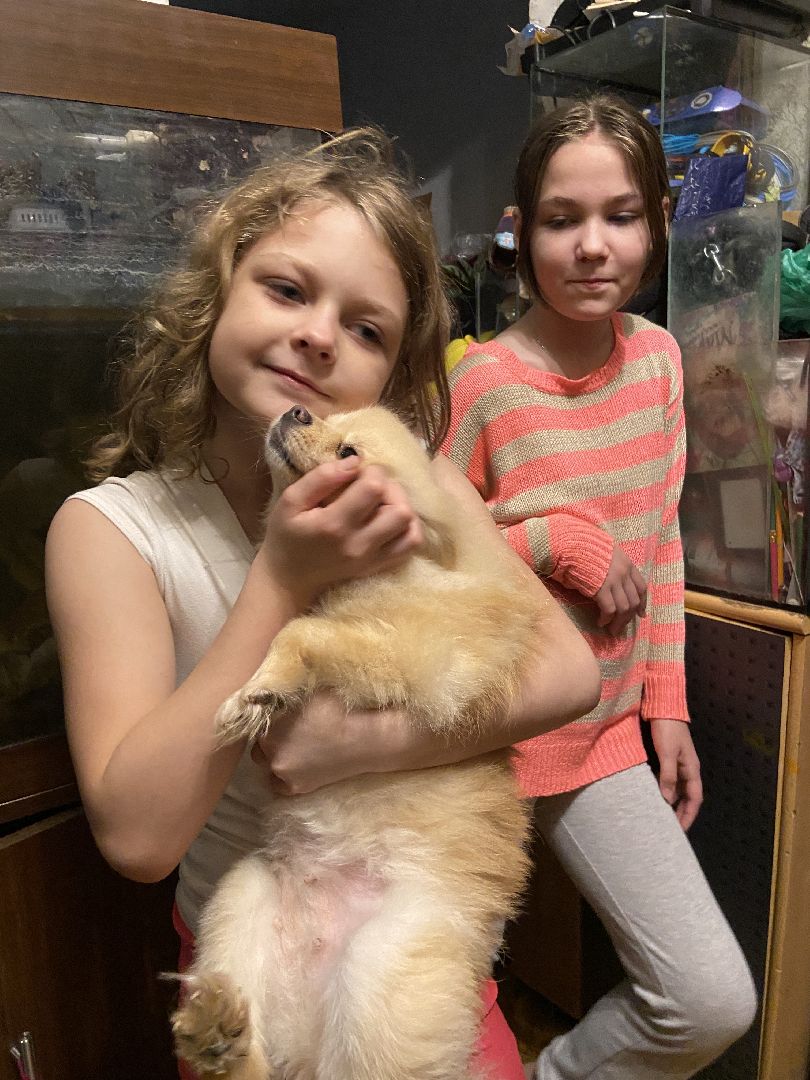 истра, полиция, благотворительная акция,