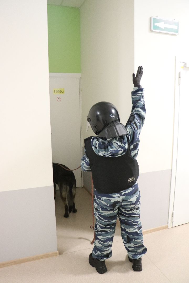 Волоколамск, учения, Гимназия №1