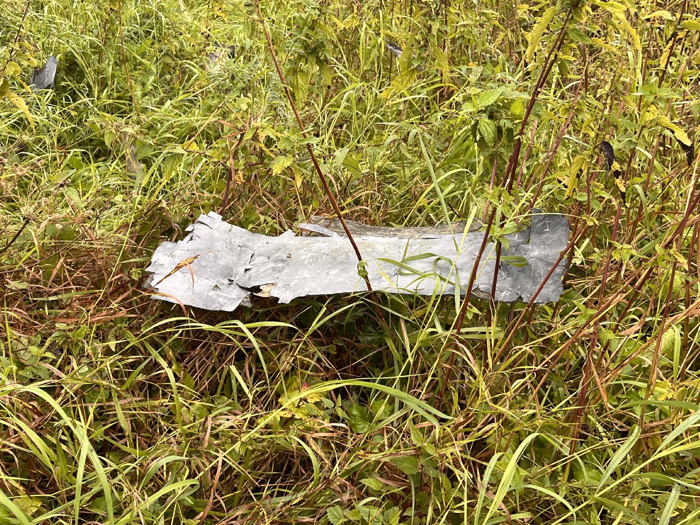 руза, рузский городской округ, происшествие, чп, бпла, беспилотник, подмосковье,