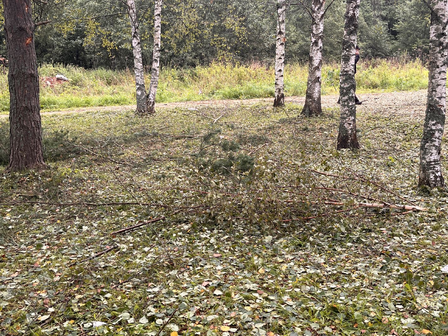 руза, рузский городской округ, происшествие, чп, бпла, беспилотник, подмосковье,