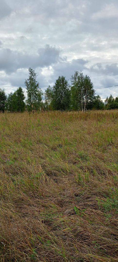 Чехов, медицина, земля врачам, программа губернатора, врачи