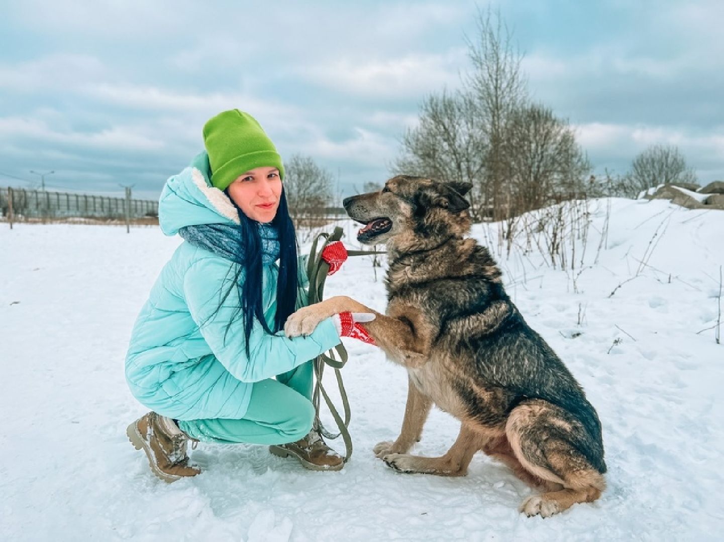 Собаки, волонтёры, животные, Старая Купавна, Богородский городской округ