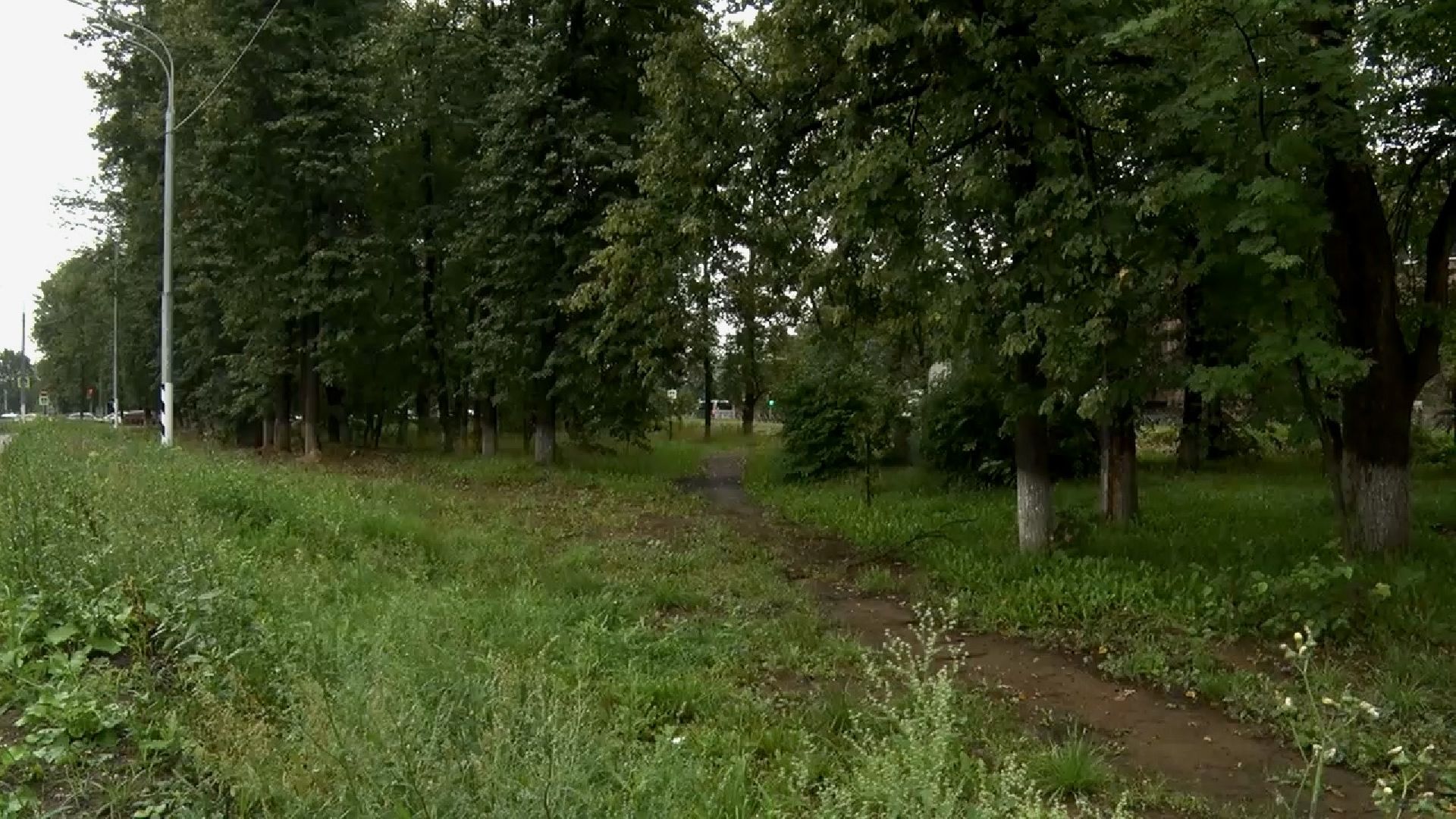 Клин, общество, память, история