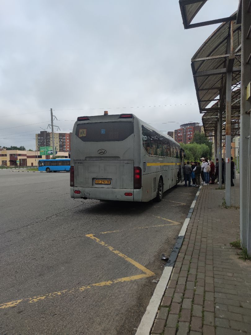 Новый автобус, междугородние перевозки, транспортная компания, Дубна