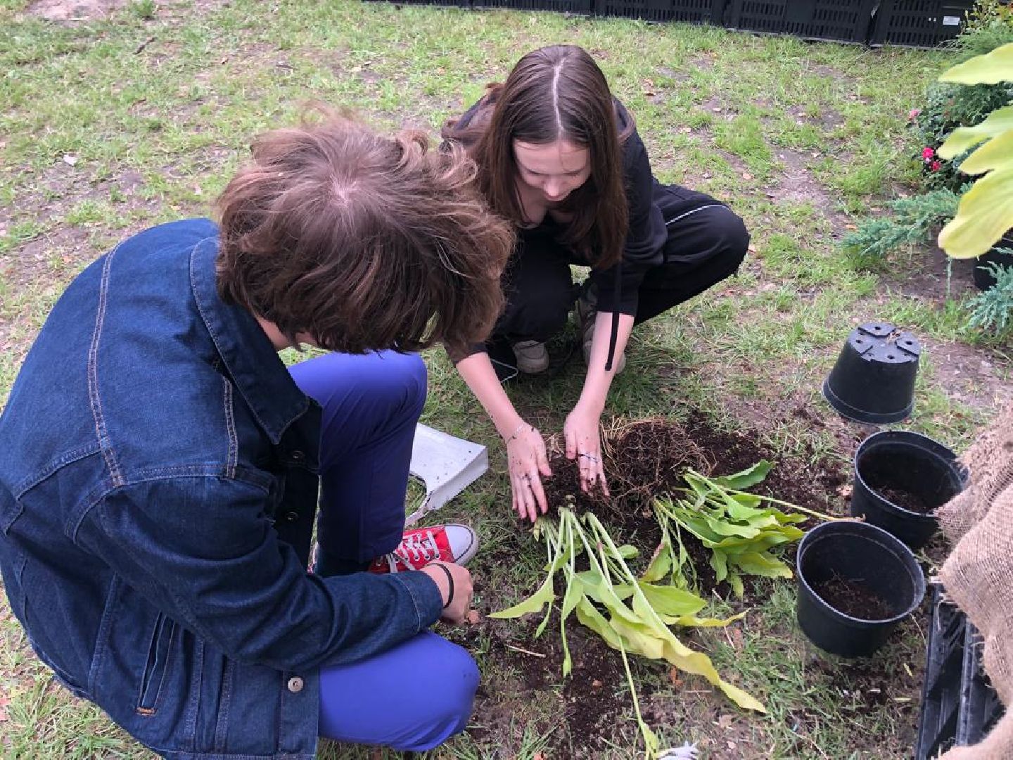 растения, пушкино, жители, мастер-класс,