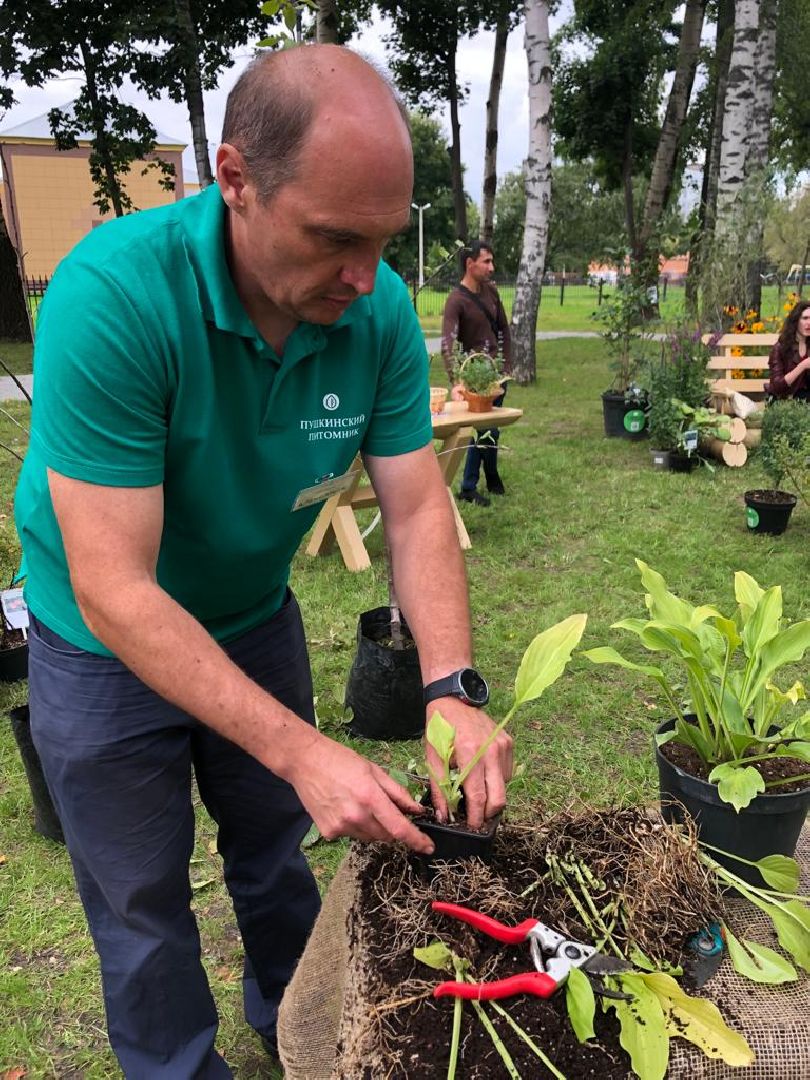 растения, пушкино, жители, мастер-класс,