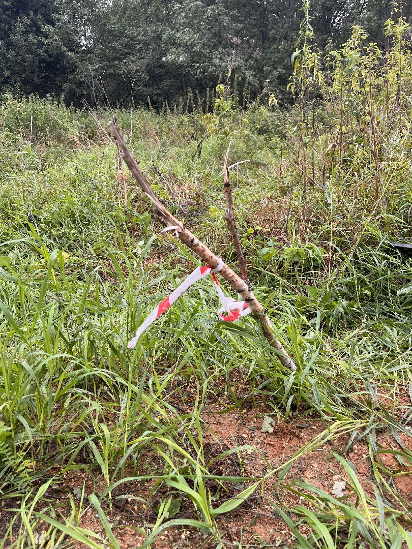 руза, рузский городской округ, чп, происшествие, московская область, подмосковье, бпла, беспилотник,