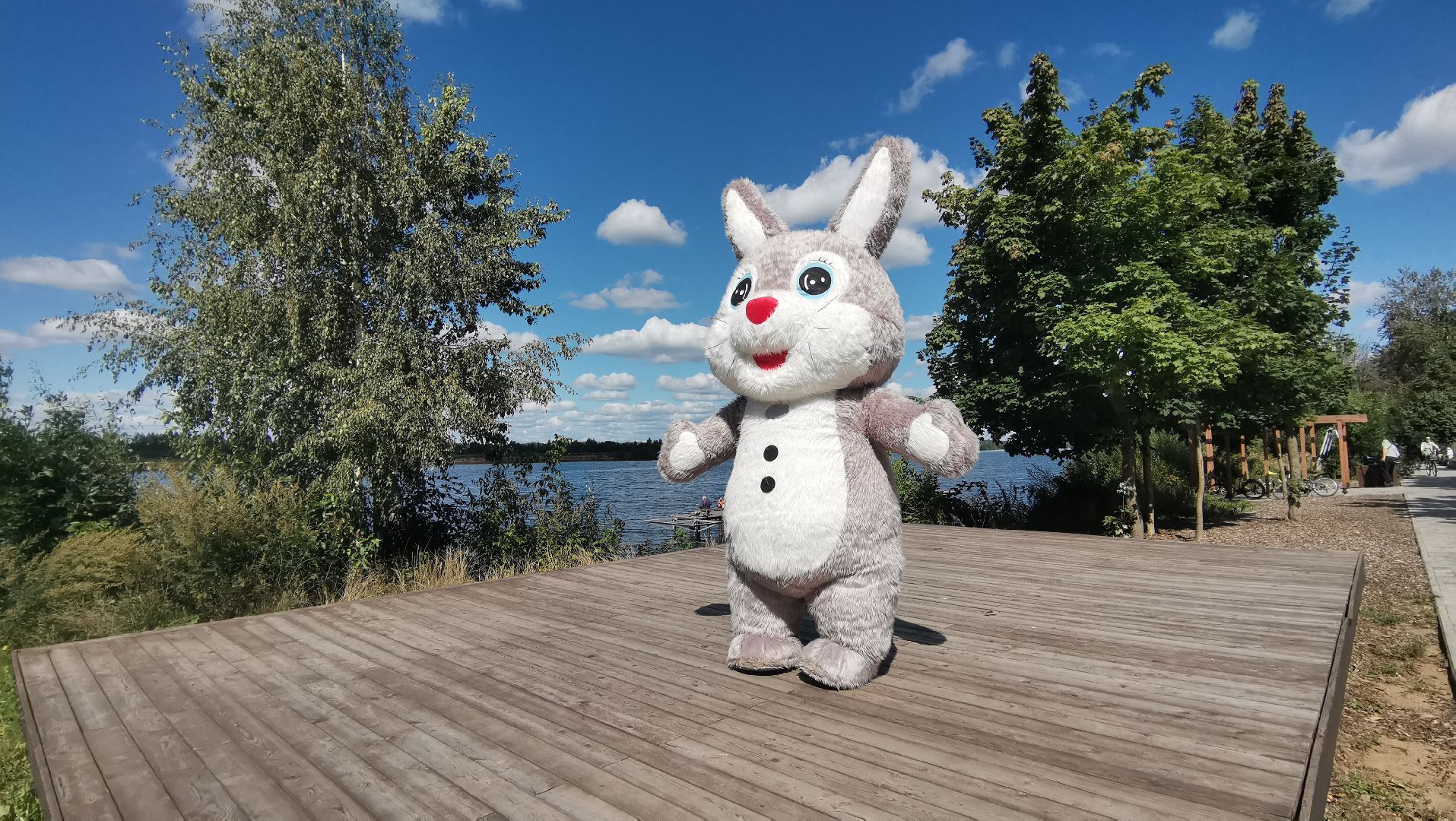 Ростовые куклы, шоу, праздник, поздравление, Дубна