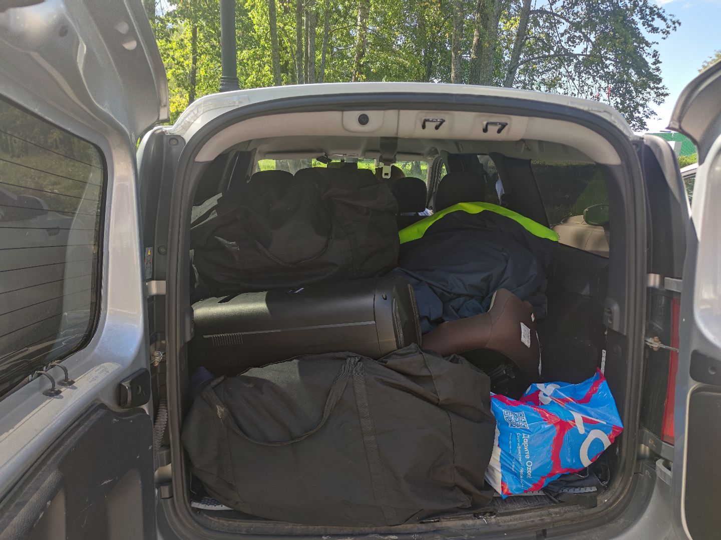 Ростовые куклы, шоу, праздник, поздравление, Дубна