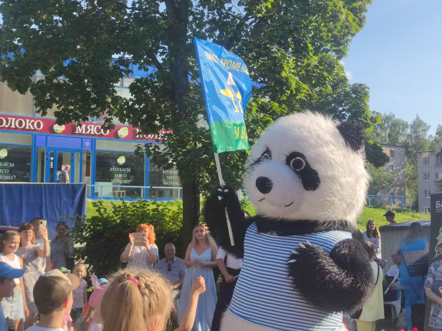 Ростовые куклы, шоу, праздник, поздравление, Дубна