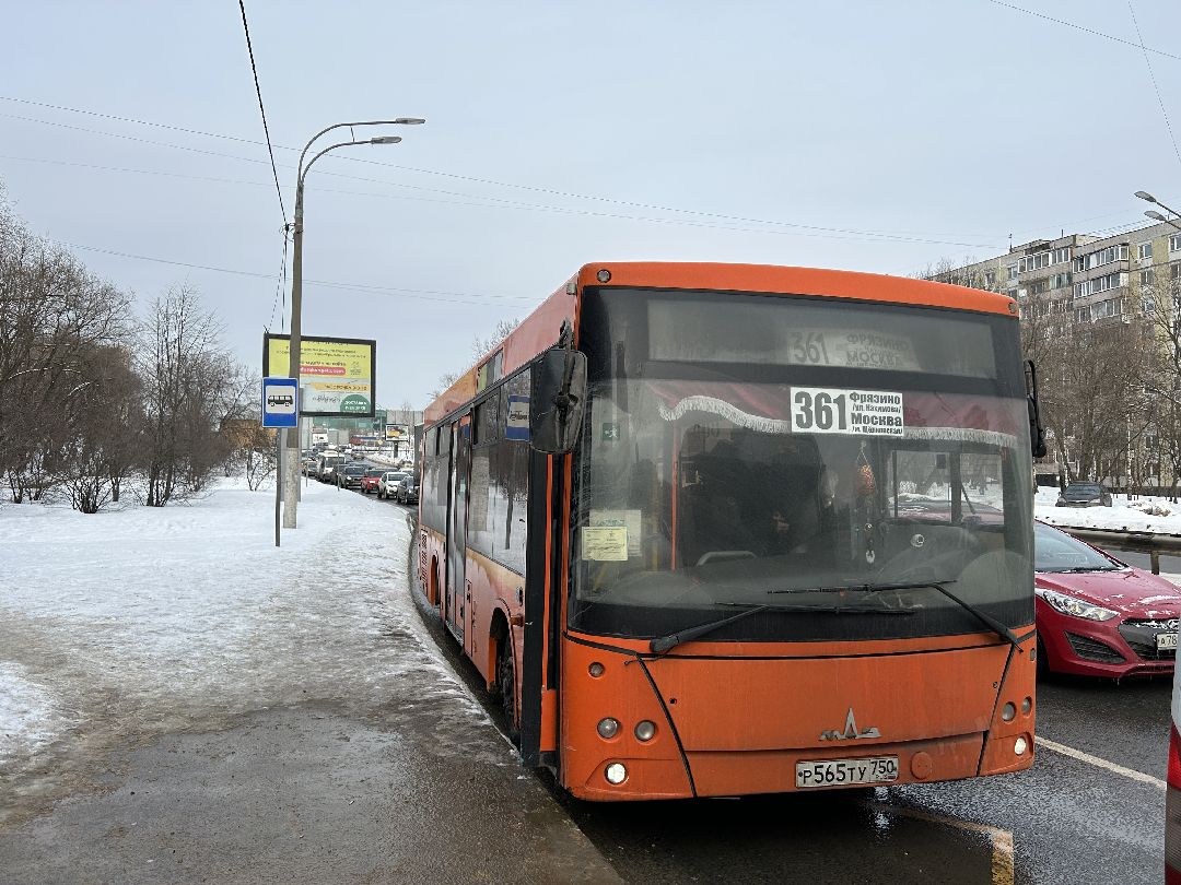 Транспорт, Международный женский день, 8 марта, Фрязино, бесплатный проезд