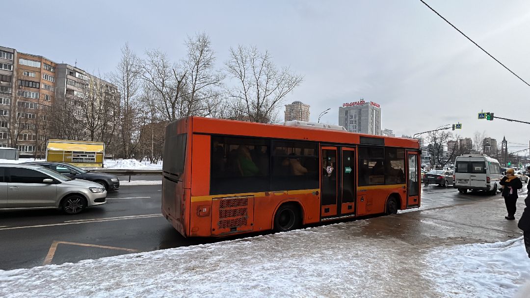 Транспорт, Международный женский день, 8 марта, Фрязино, бесплатный проезд