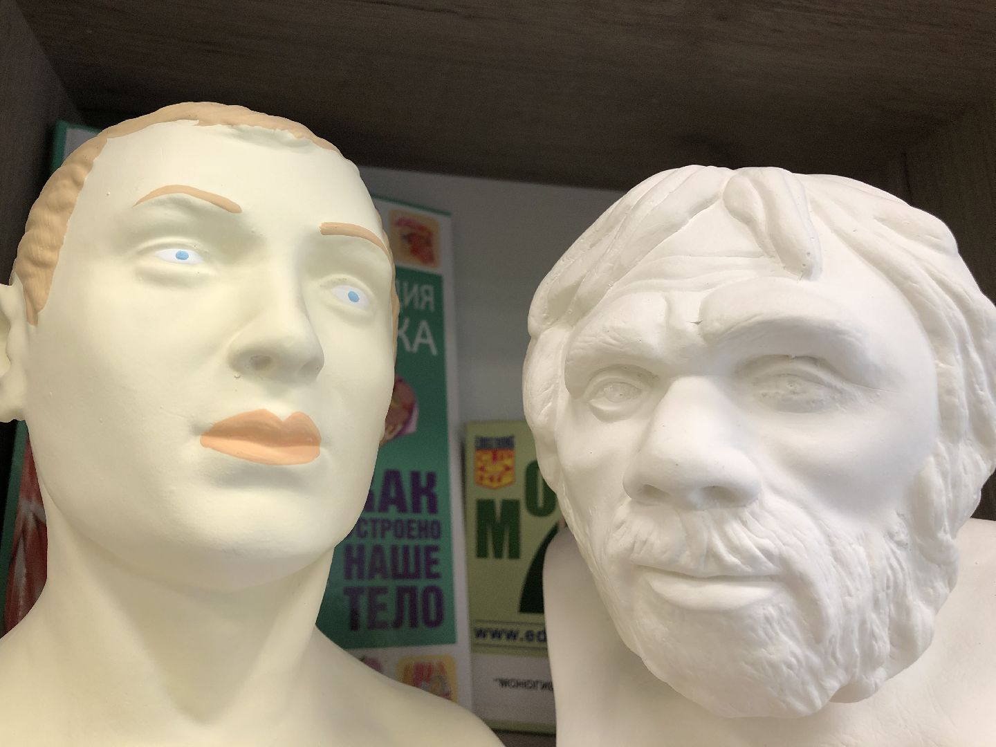 коломна, образование, школа 21