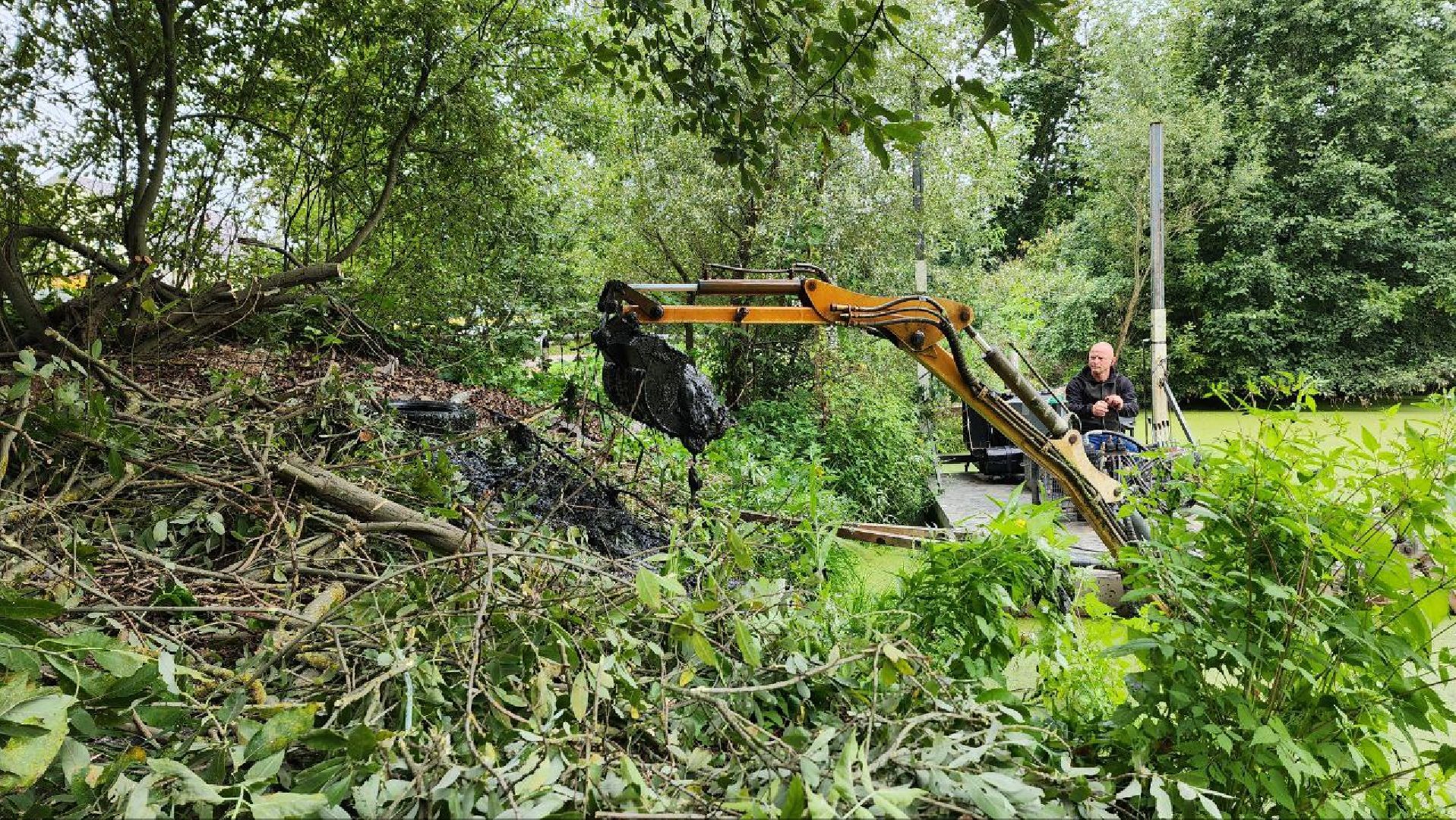 Дмитров, Пруд в Базарово, Минблаго