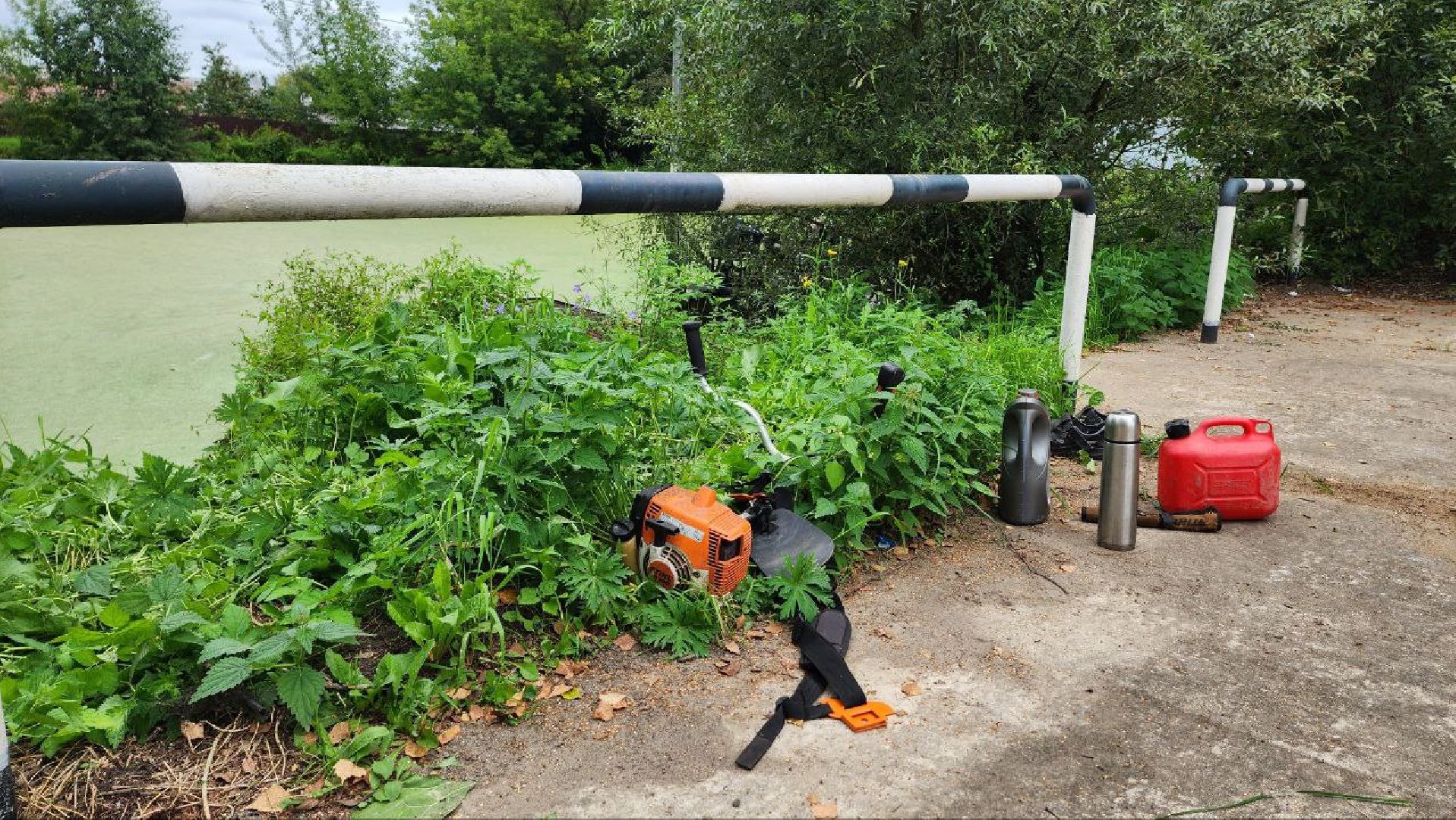 Дмитров, Пруд в Базарово, Минблаго