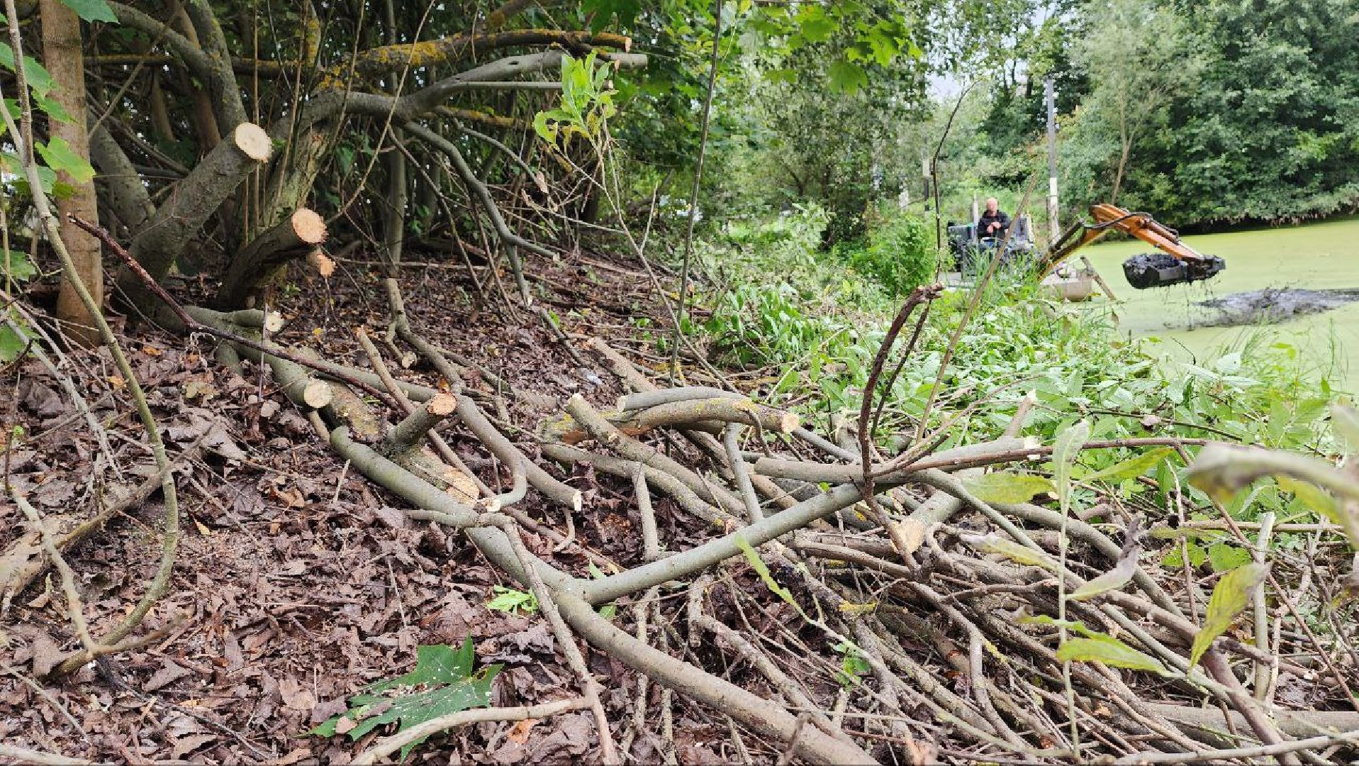 Дмитров, Пруд в Базарово, Минблаго