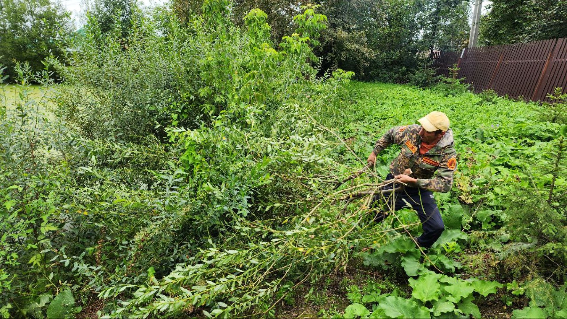 Дмитров, Пруд в Базарово, Минблаго