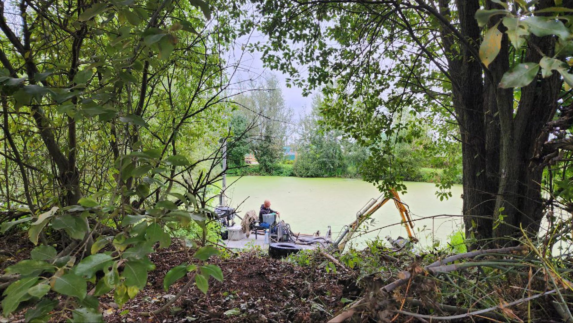 Дмитров, Пруд в Базарово, Минблаго