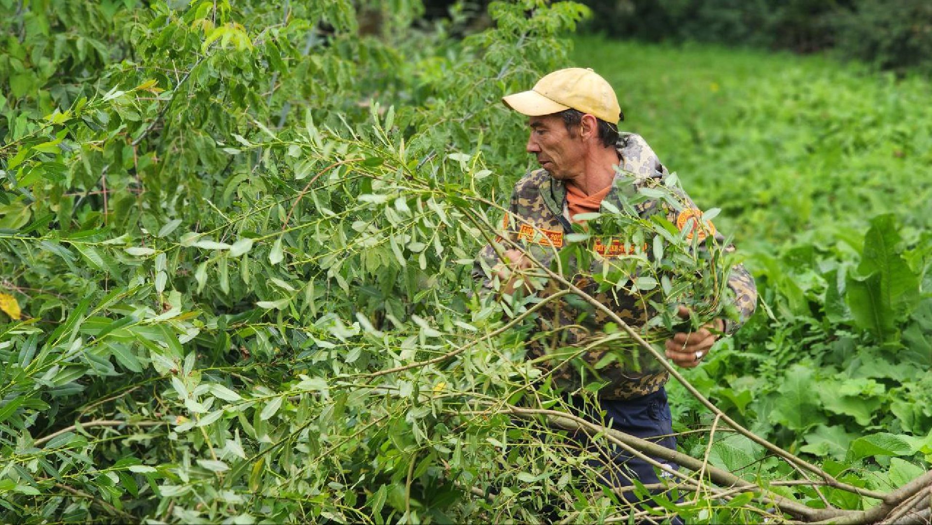Дмитров, Пруд в Базарово, Минблаго