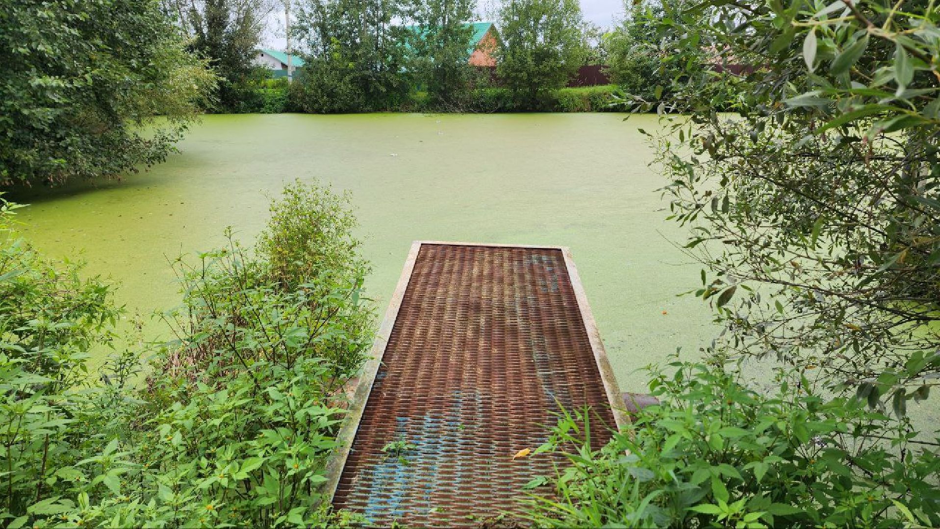 Дмитров, Пруд в Базарово, Минблаго