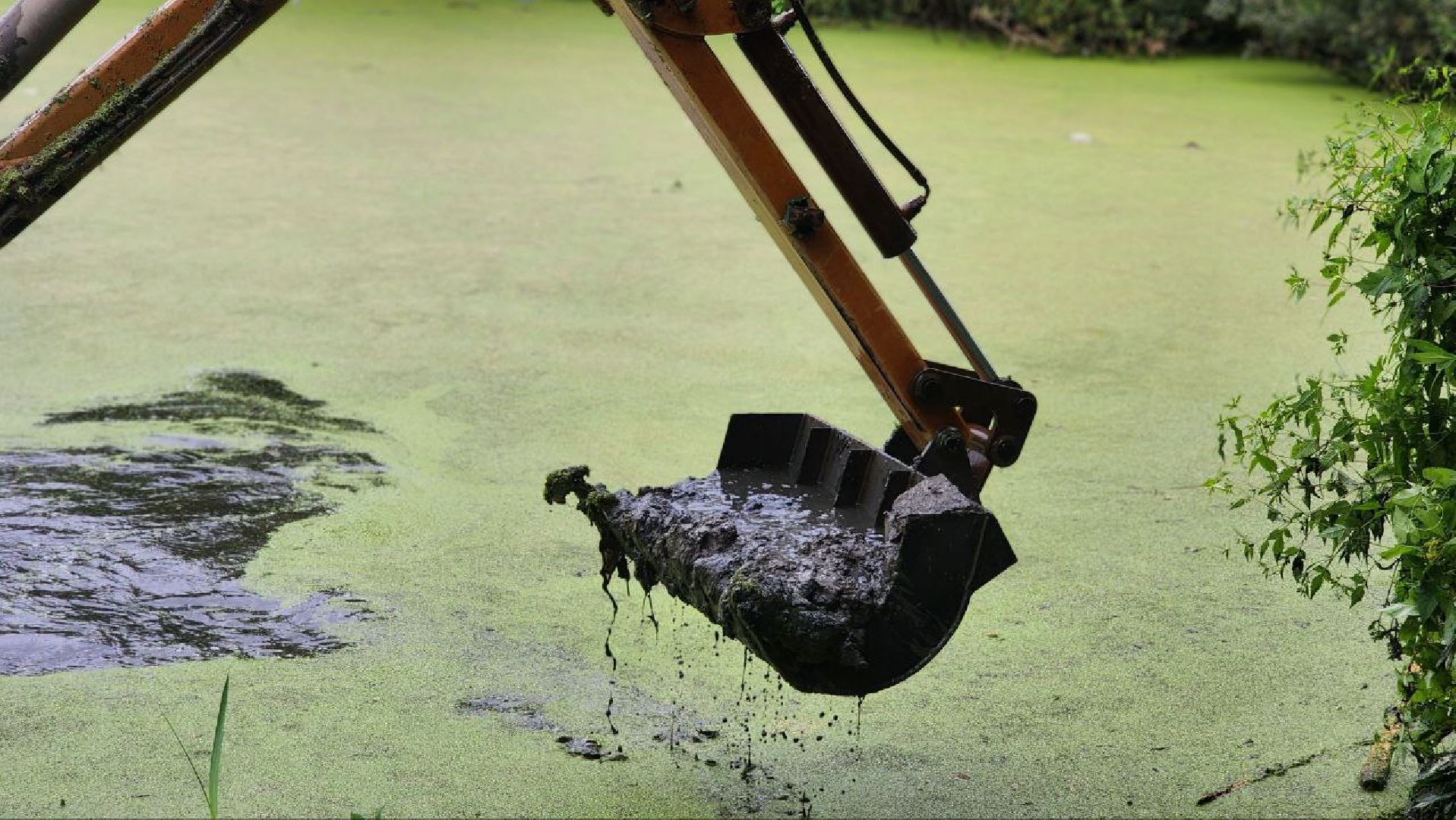 Дмитров, Пруд в Базарово, Минблаго