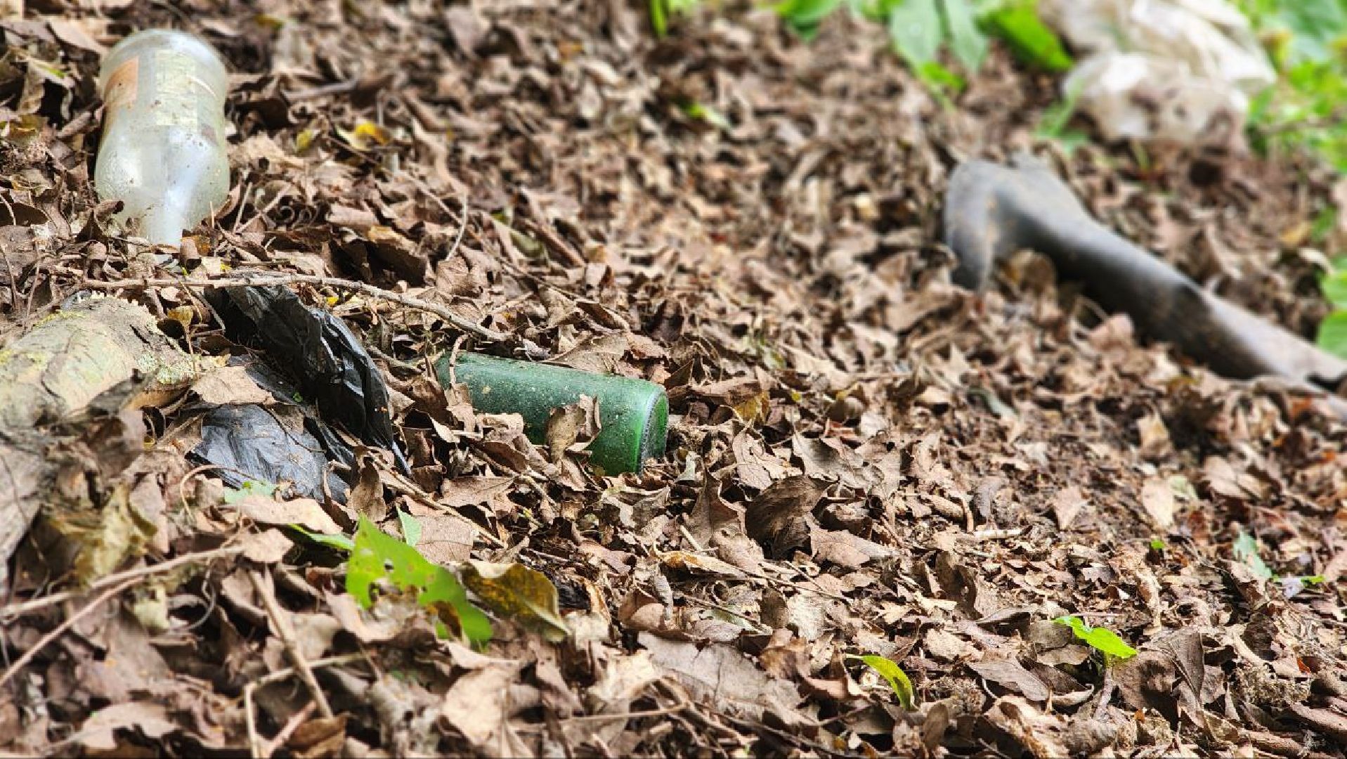 Дмитров, Пруд в Базарово, Минблаго