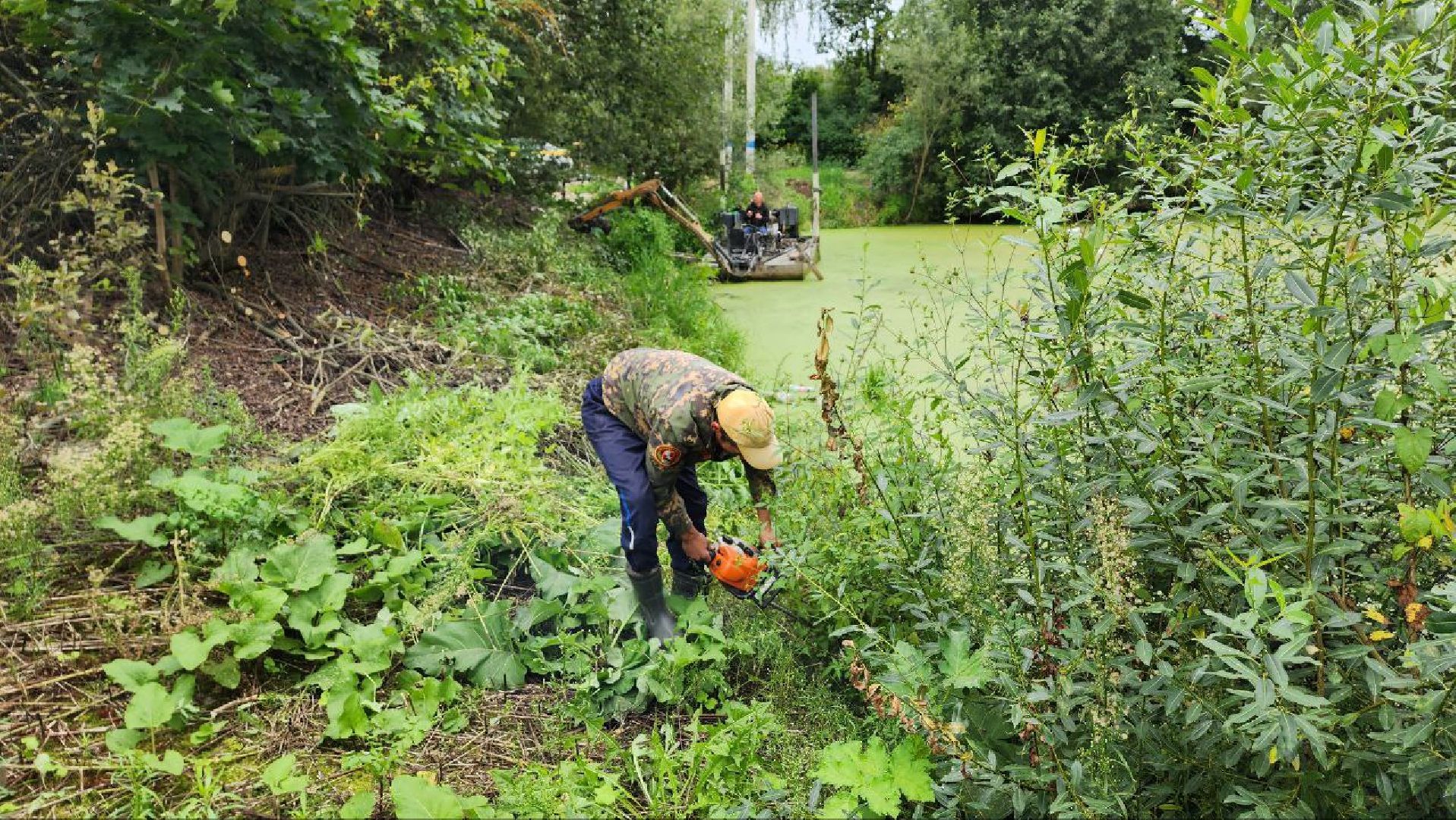 Дмитров, Пруд в Базарово, Минблаго