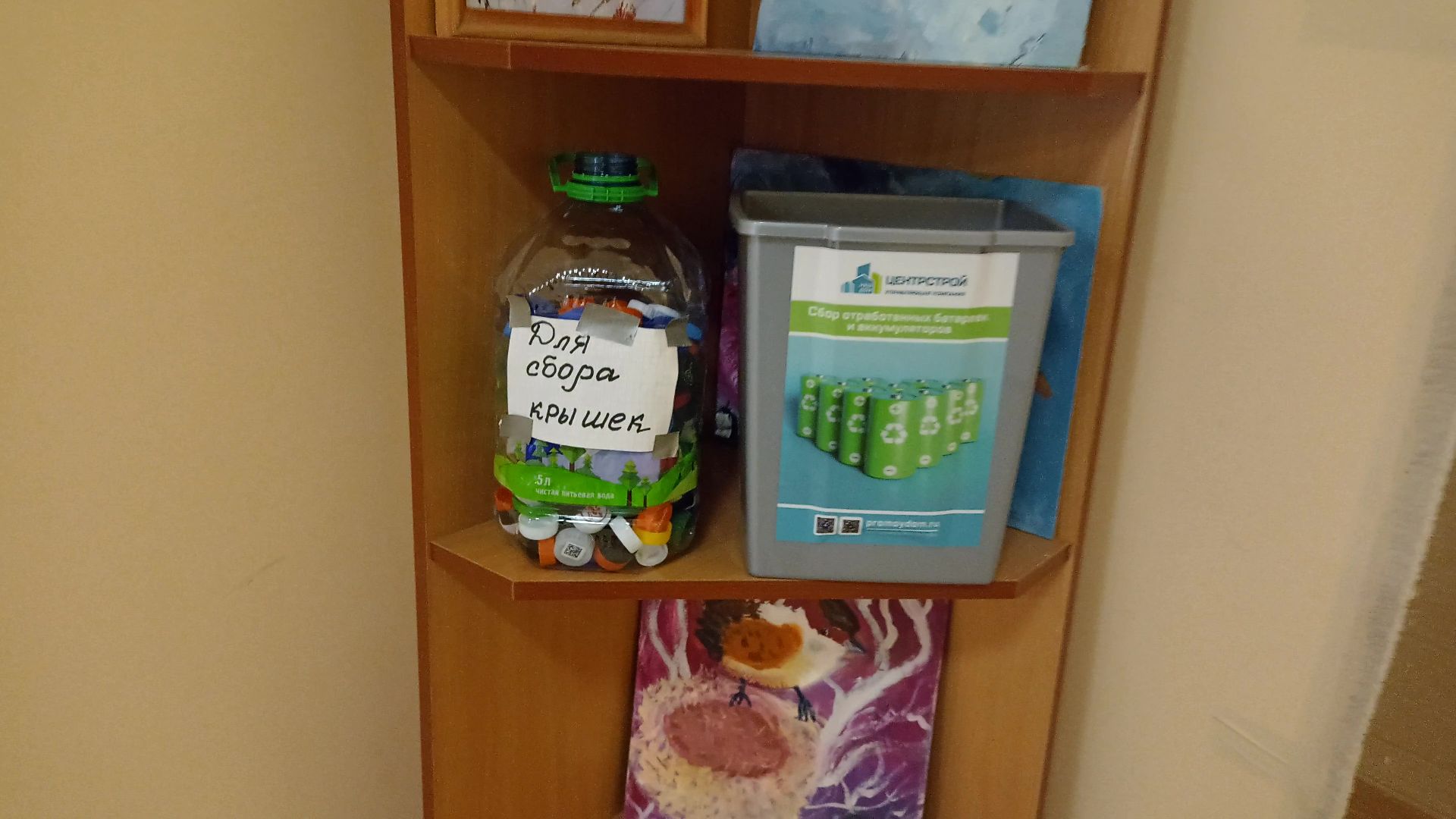 Реутов, сбор, экология, крышечки, батарейки