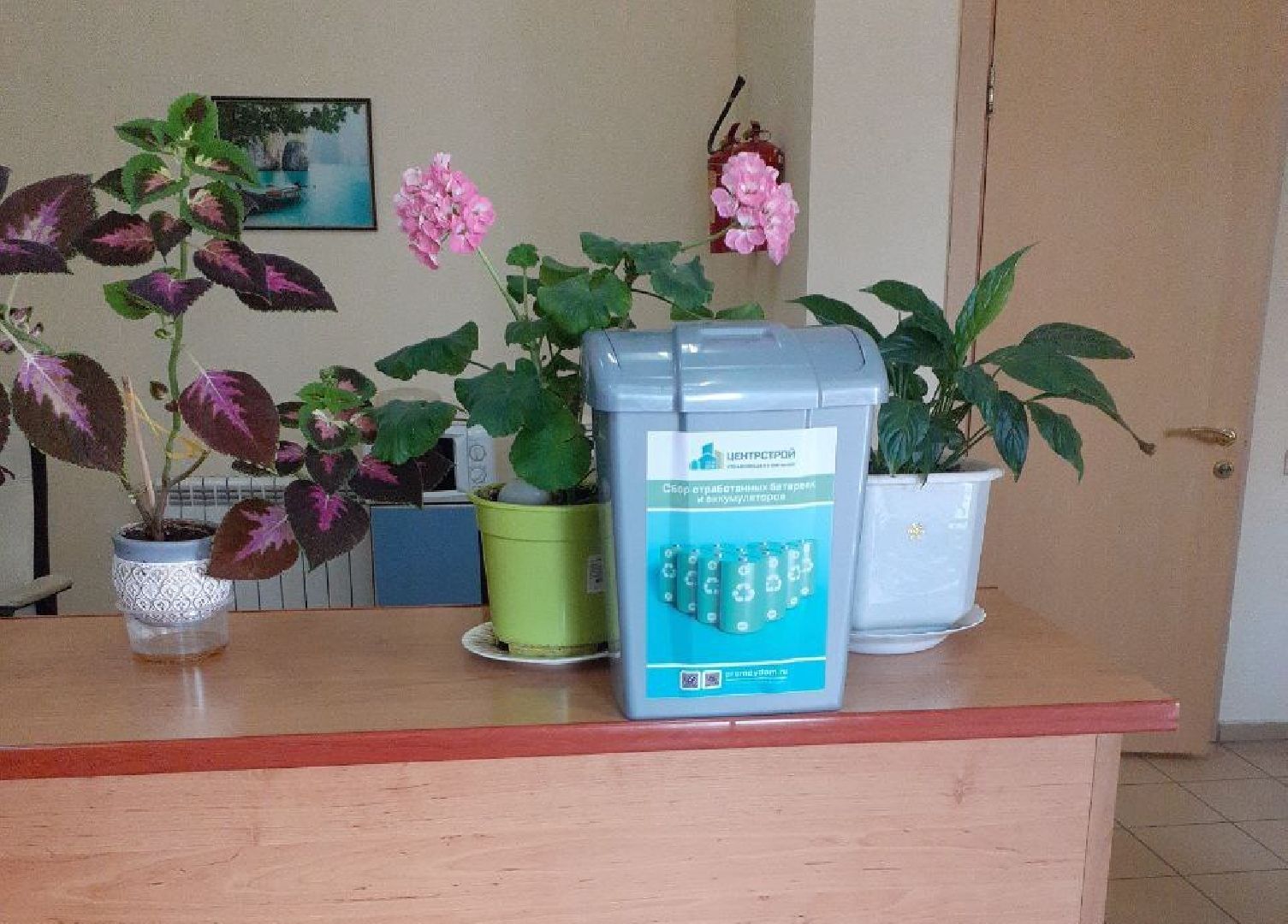 Реутов, сбор, экология, крышечки, батарейки