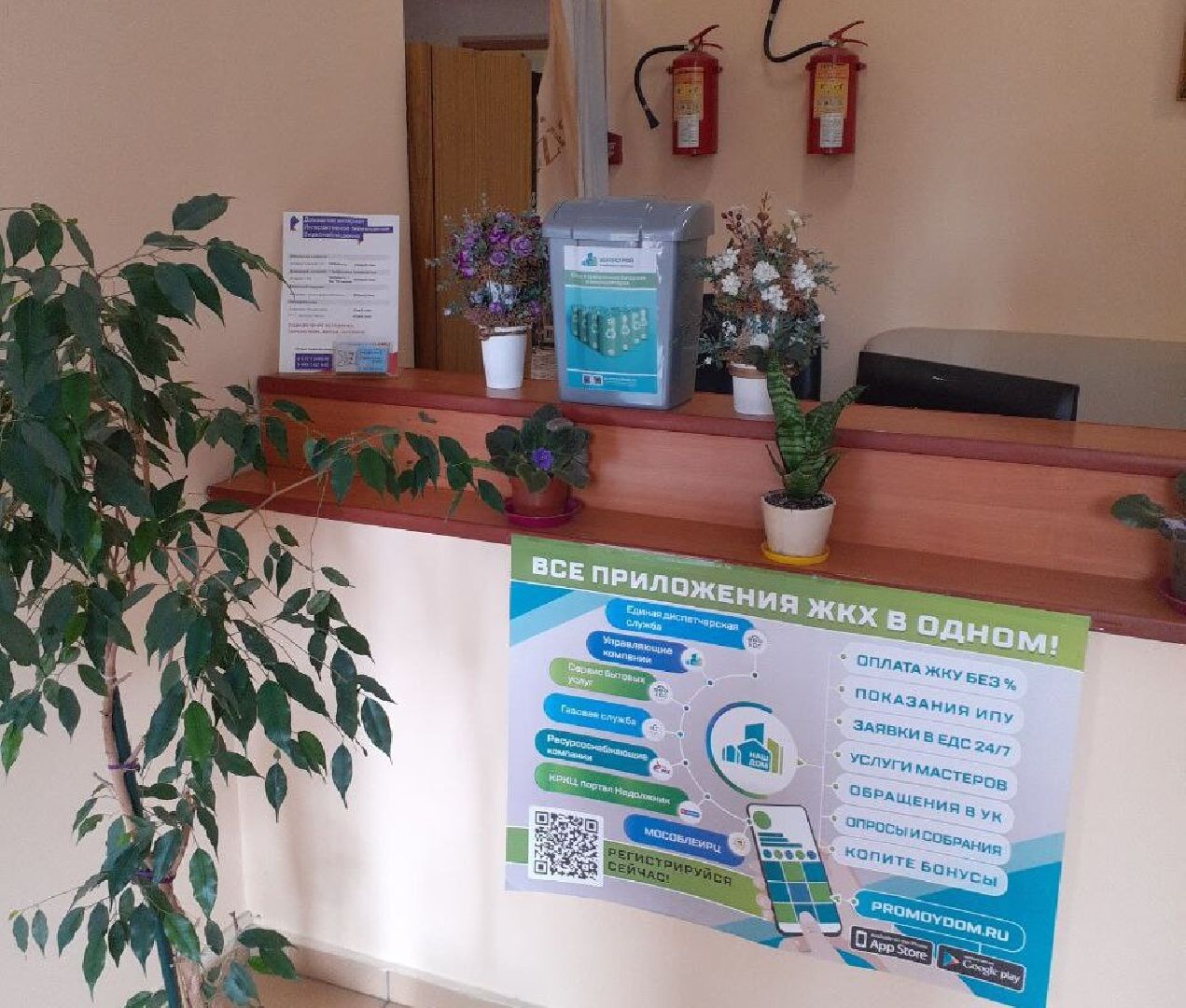 Реутов, сбор, экология, крышечки, батарейки