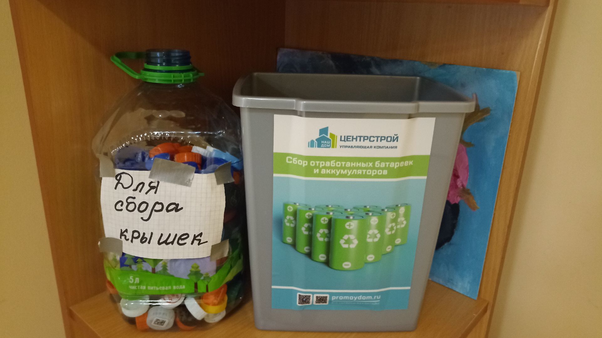 Реутов, сбор, экология, крышечки, батарейки